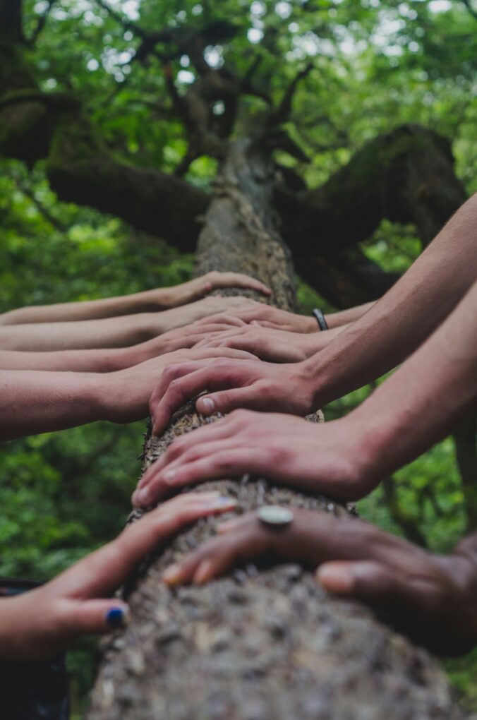 shane-rounce-DNkoNXQti3c-unsplash mentoring
