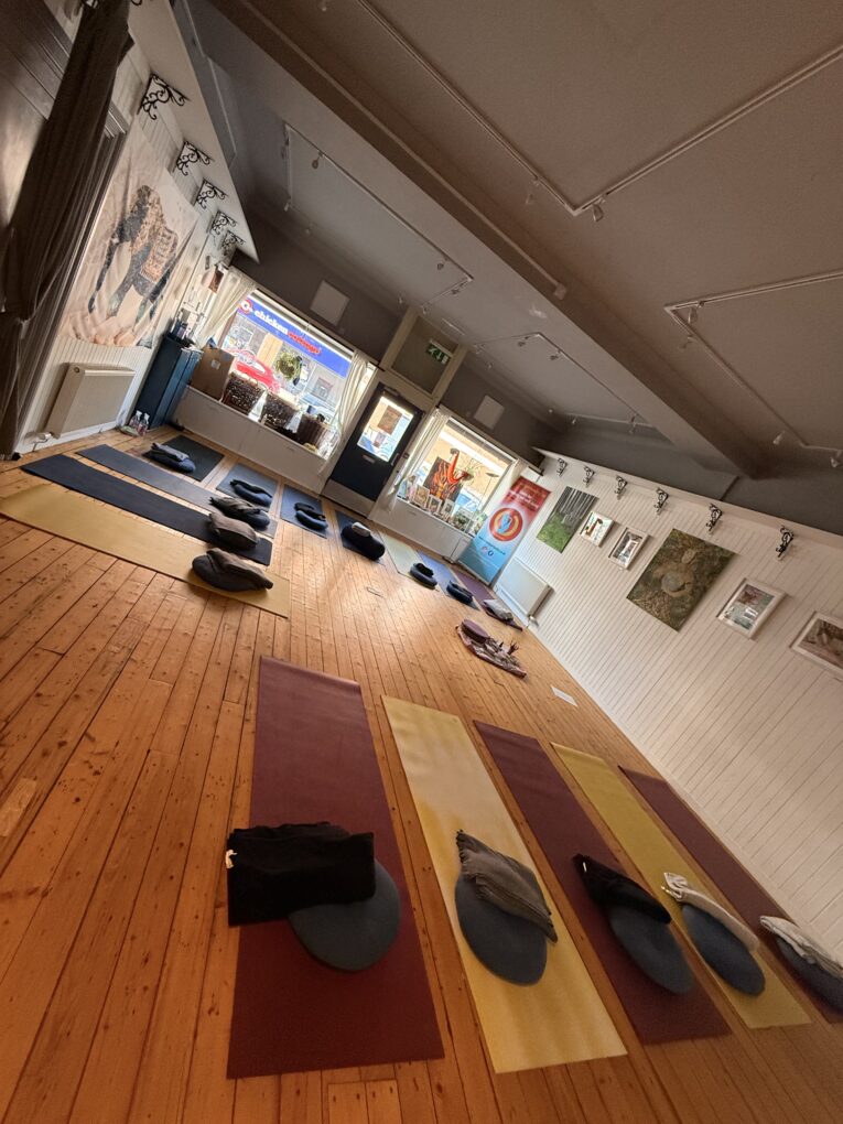 IMG_3133 Restorative Yoga